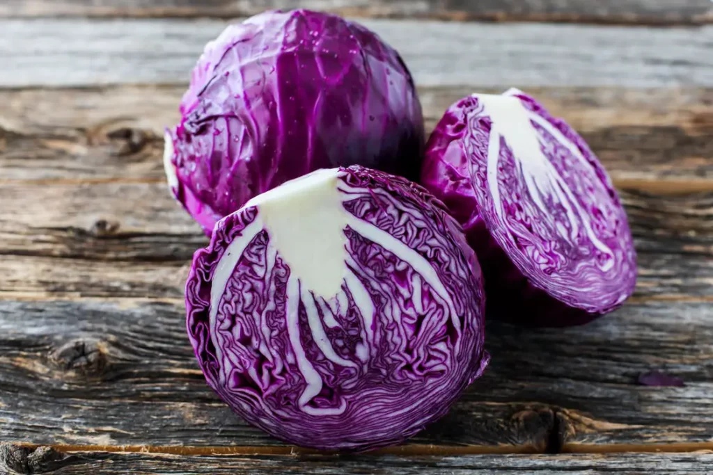 red cabbage
