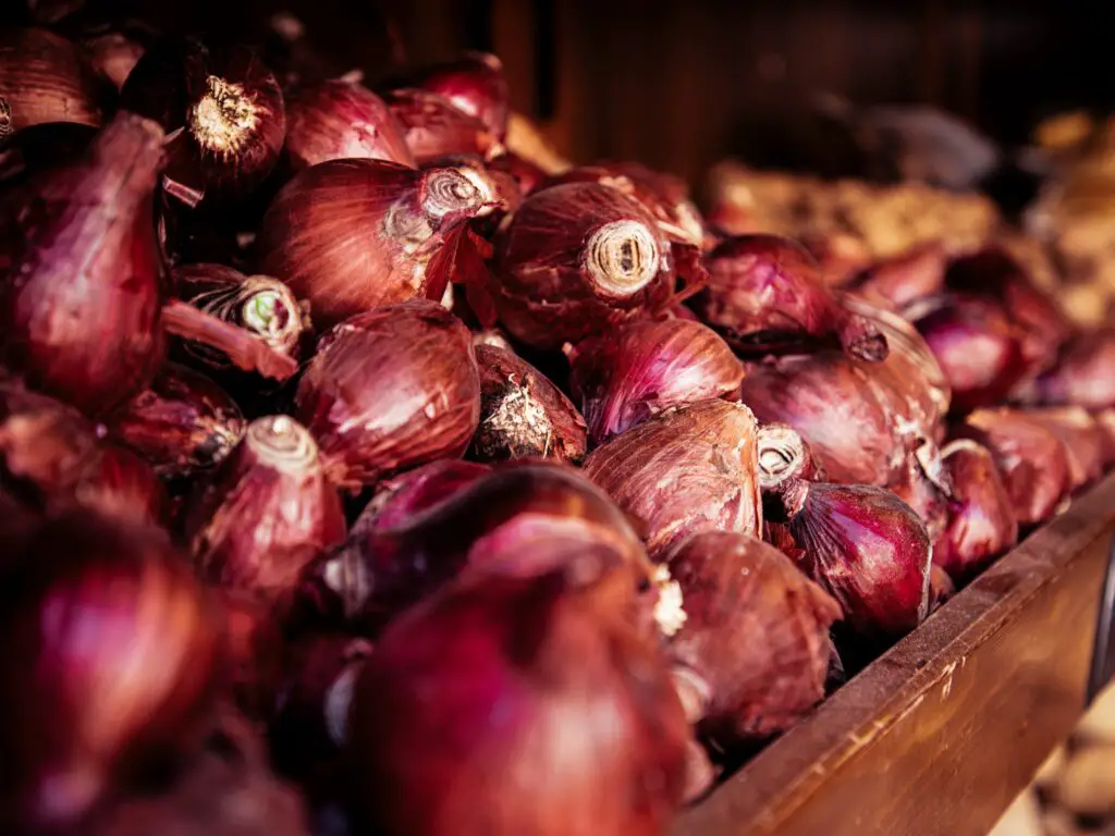 red onion