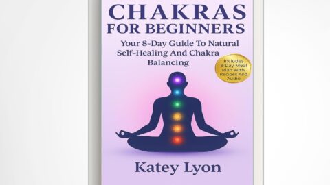 chakras for beginners
